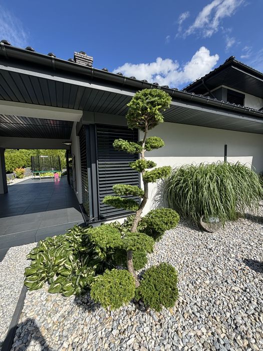 Usługi ogrodnicze - zakładanie ogrodów, pielęgnacja, przycinanie tuj