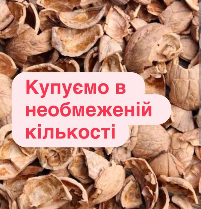 Скорлупа грецького горіха,фундука,ліщини,фісташкова  круглий рік