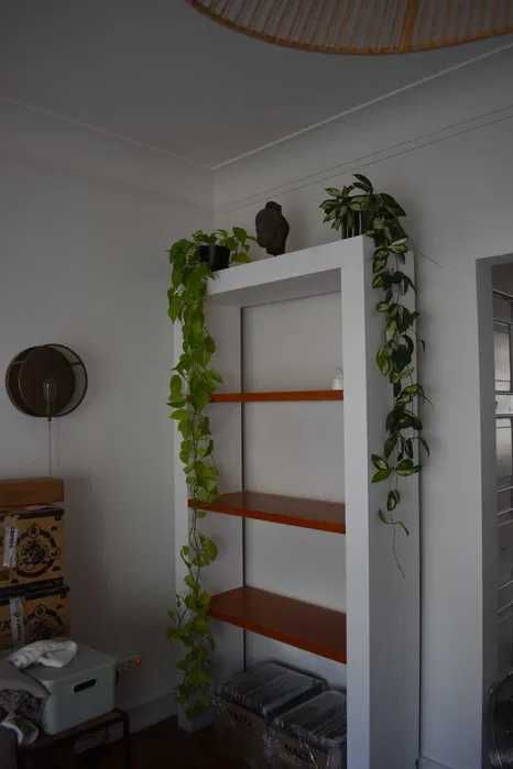 VENDO estante de madeira maciça,pintada a branco