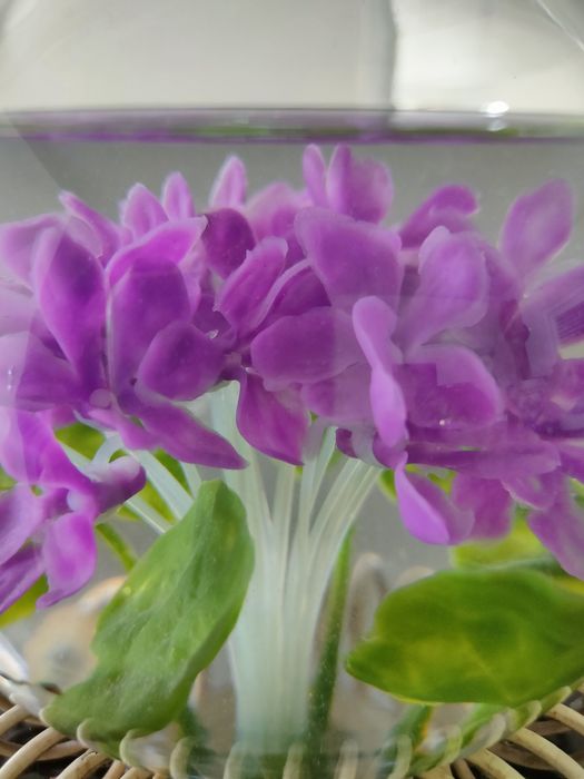 Globo floreira antiga.