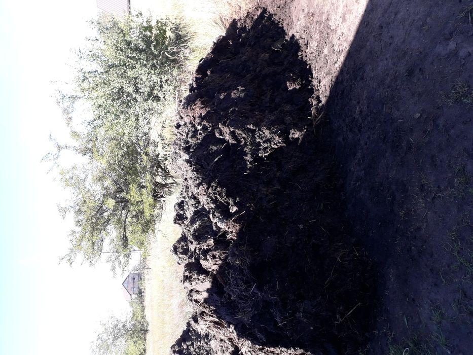 Перегній Земля Чернозем в Мішках