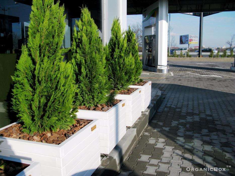 Дерев'яний ящик для туї, ящики для квітів та дерев, огорожа для клумб