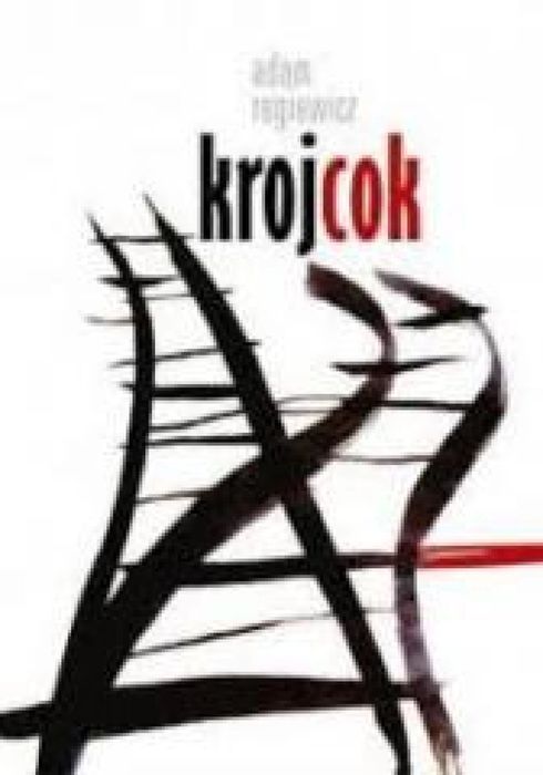 Krojcok Miejska Biblioteka Publiczna w Zabrzu Adam Regiewicz Rok