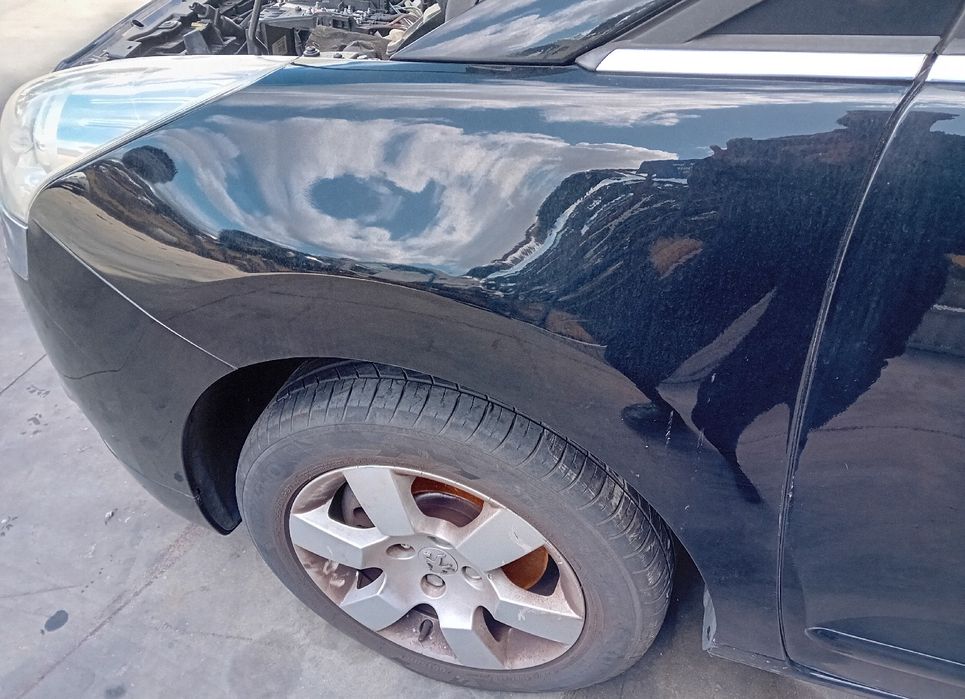 Guarda-lamas esquerdo PEUGEOT 5008 I (0U_, 0E_)