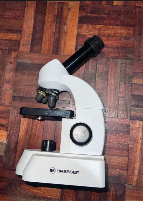 Microscopio infant445886382149488642