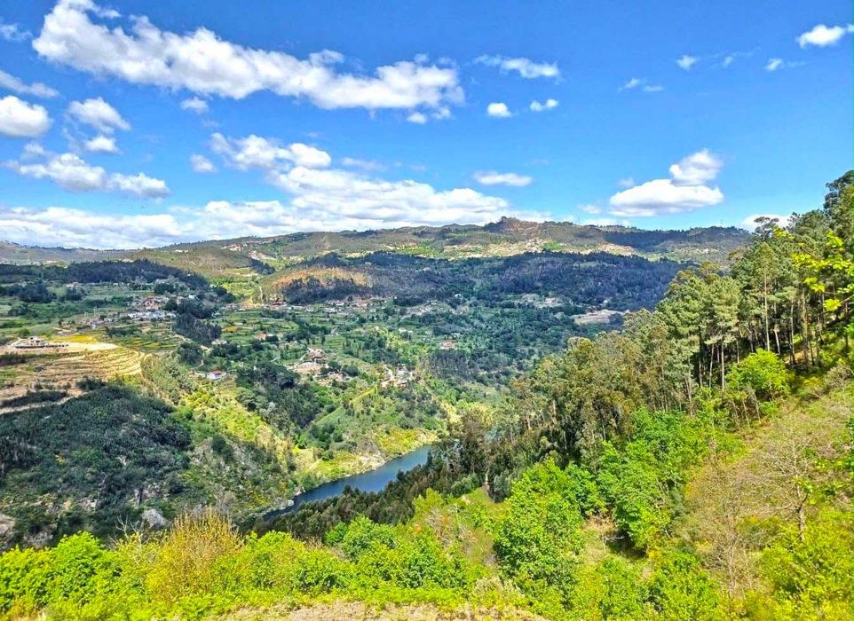Quinta no Douro para Turismo Rural