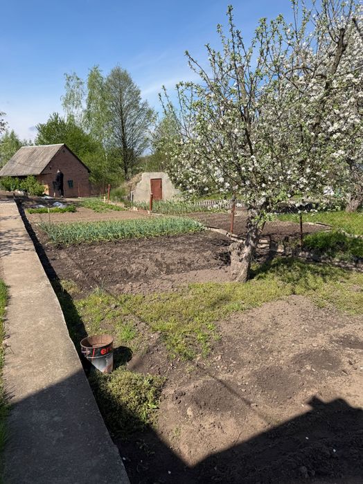 Будинок (дача) Тетерівський масив Житомирська область