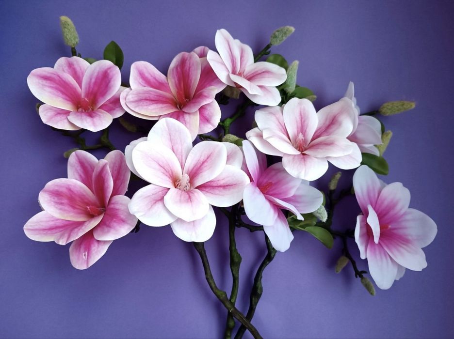 Искусвенная магнолия