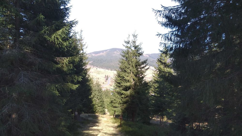 Земельна ділянка