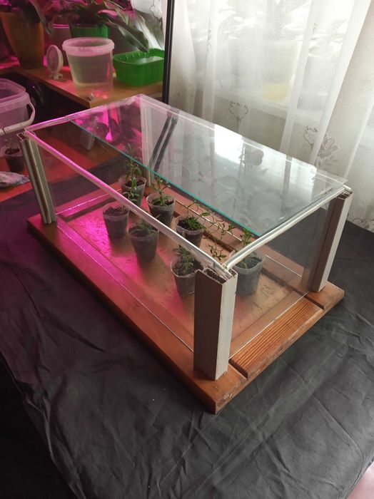 Мини теплица ( парник) 55 х 30 см