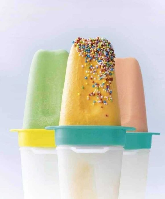 6 Formas para Gelados (novo) - TUPPERWARE