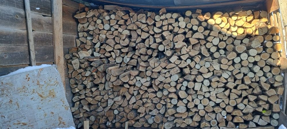 Sucha  Olszyna,dąb,grab z dowozem