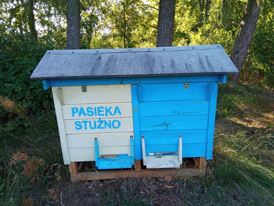 Ul dla pszczół ule