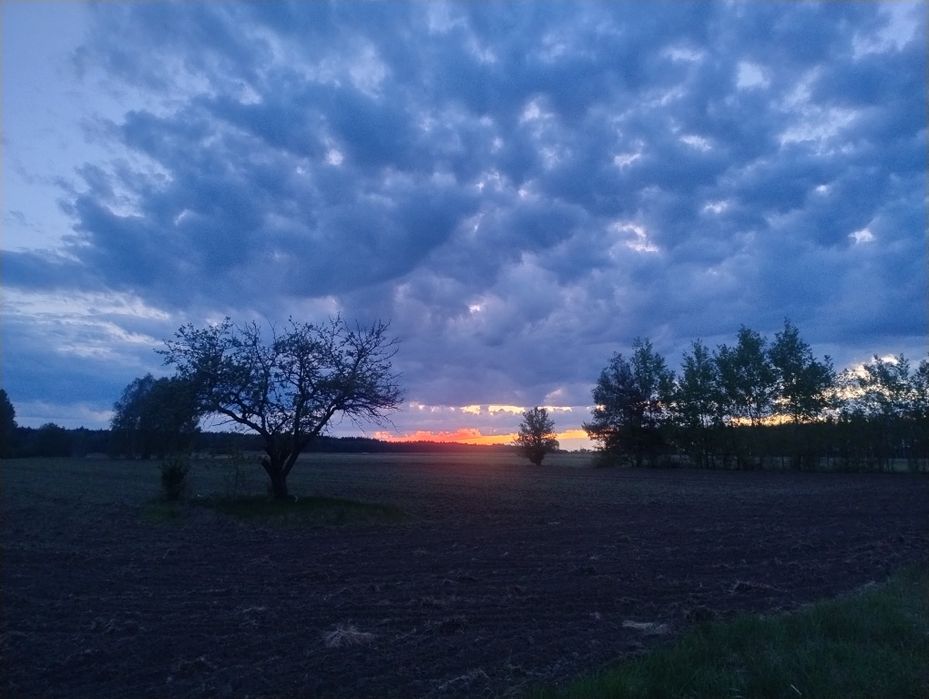 Siedlisko bezpośrednio przy lesie dla chcących zanurzyc sie w naturze