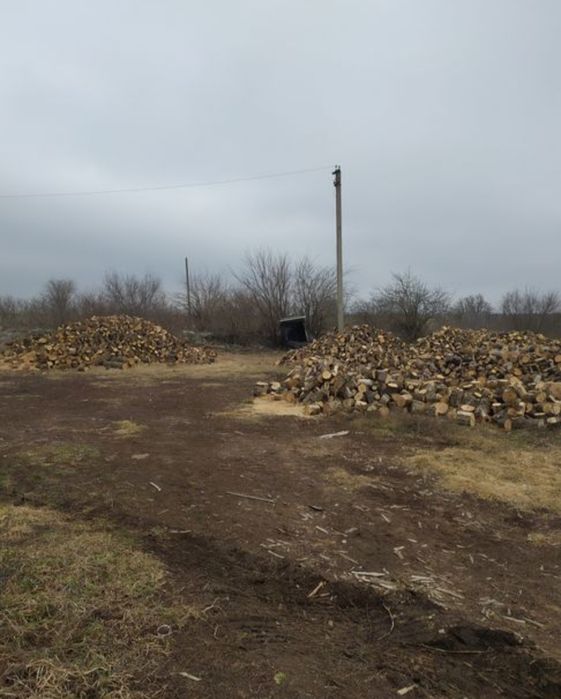 Дрова ОПТОМ та в РОЗДРІБ. Дуб, берёза. Низькі ціни. 3/6/8/25 Ск/м