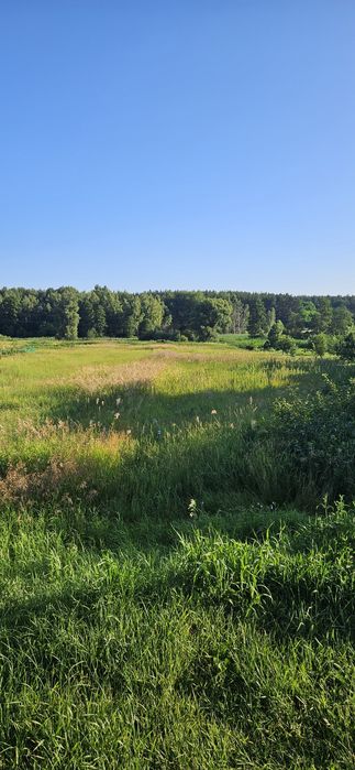 Земельна ділянка в смт. Гаврилівка,  Бучанського р-ну.
