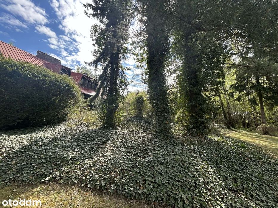 Przestronny dom z dużą działką 3500 m²