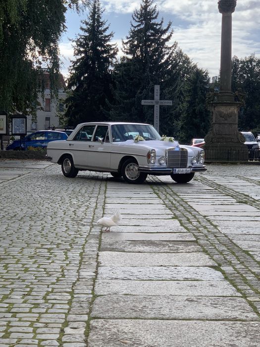 Auto do Ślubu  Mercedes 1969 r
