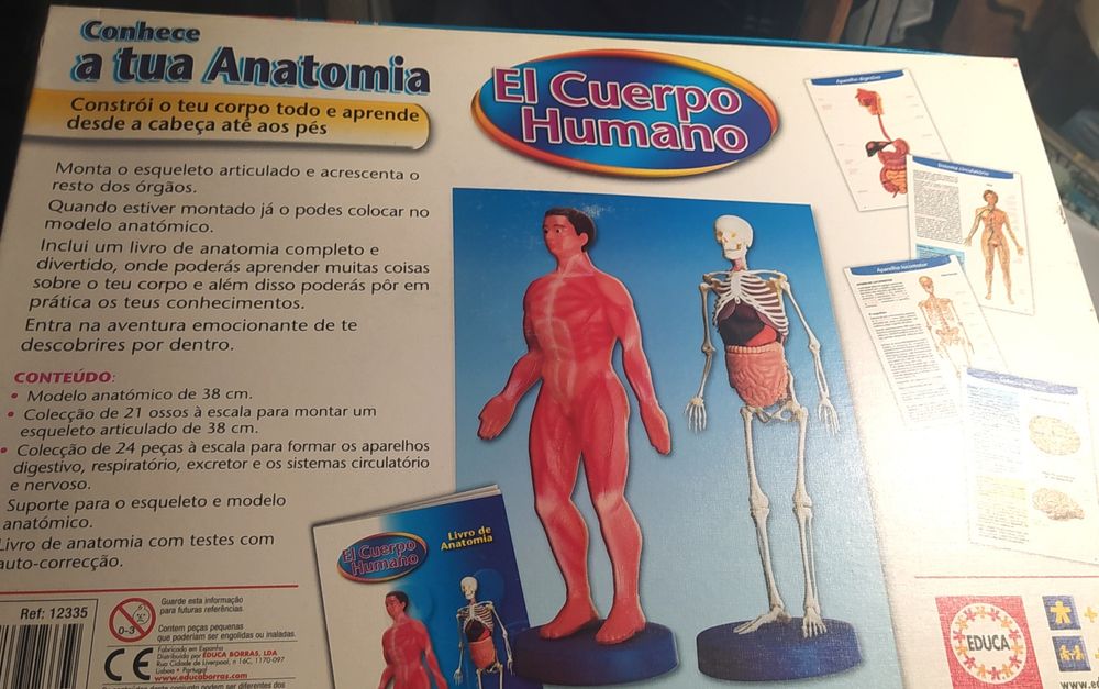 Human Body Games435522376870154243