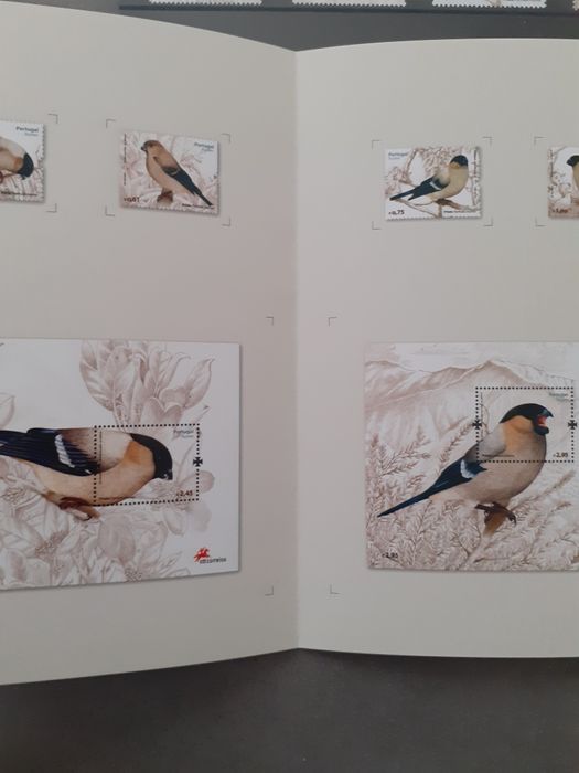 Selos CTT,.priolo 2008