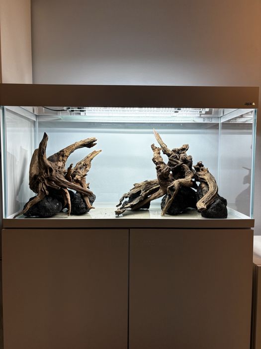 Zakładanie profesjonalnych akwariów - aquascaping