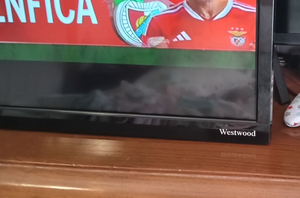 SMART TV WESTOOD_49"-Ecran_124 cm_UHD 4K_Modelo W498000U2_ Com Mancha na Tela.