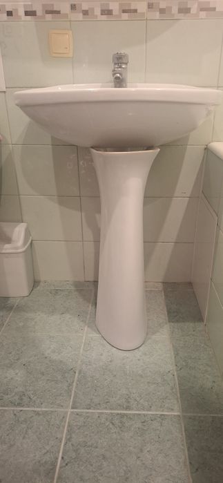 Тюльпан раковина