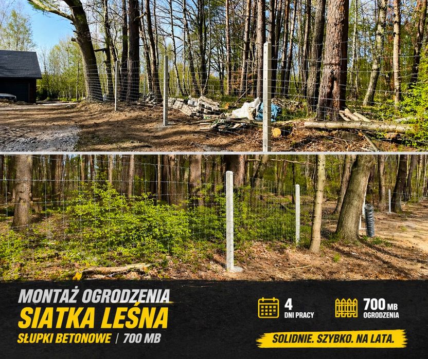 Usługi brukarskie i ogólnobudowlane