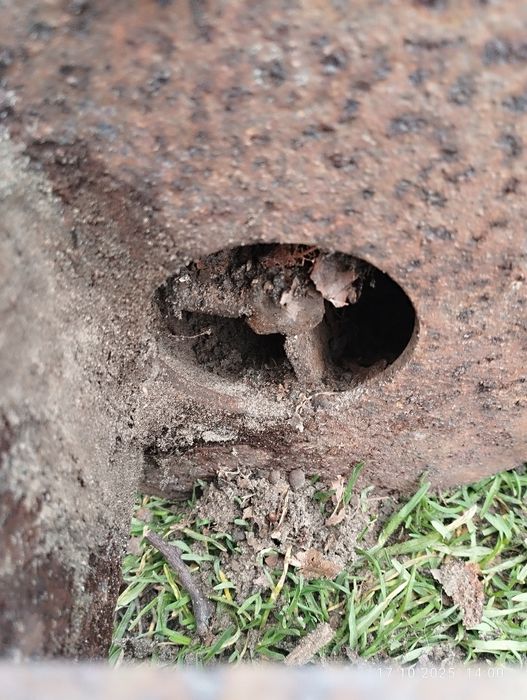 Pompa głebinowa do wody, gnojowicy