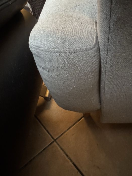 Sofá de 2 lugares estilo escandinavo – confortável e elegante