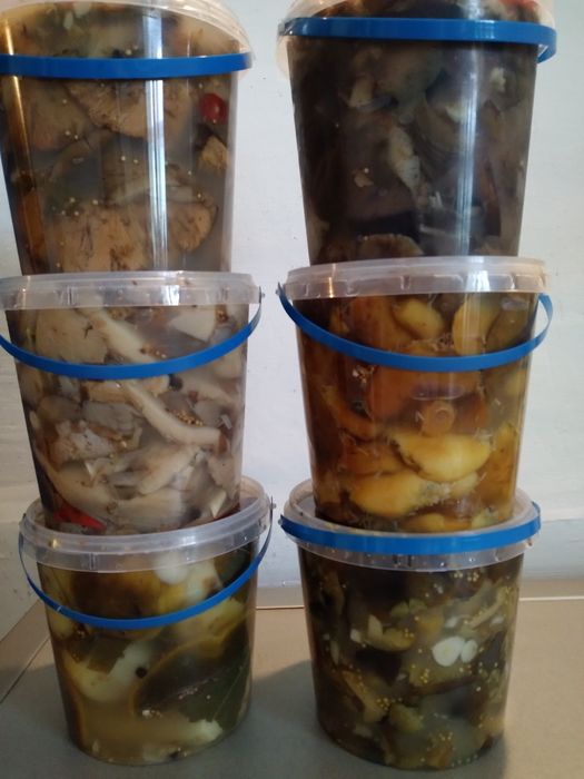 Гриби мариновані, солоні та квашені