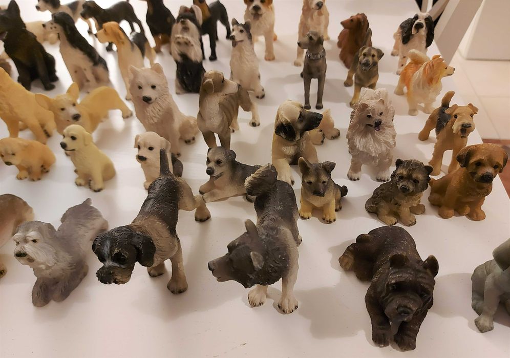 Coleção de 71 cães