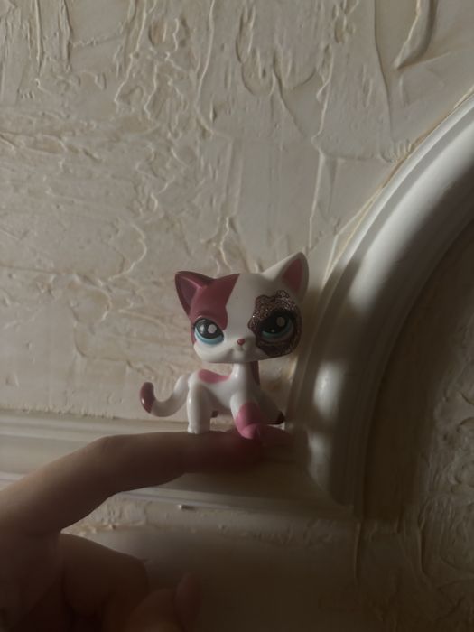 стоячка кошечка,лпс