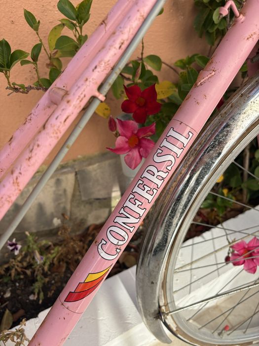 Bicicleta Confersil