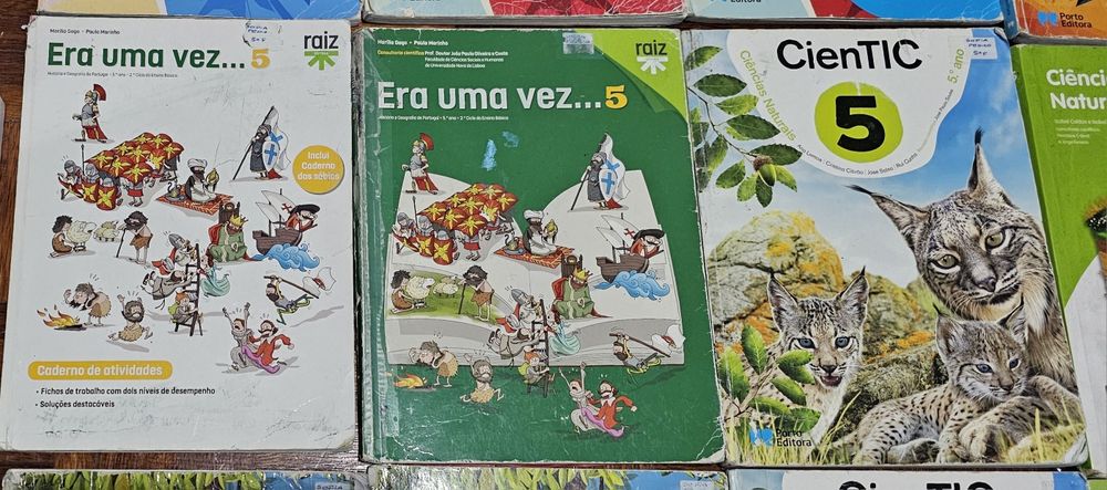 Manuais e cadernos de atividades 5°ano