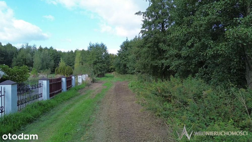 Działka budowlana z potencjałem inwestycyjnym MPZP - Widok 4