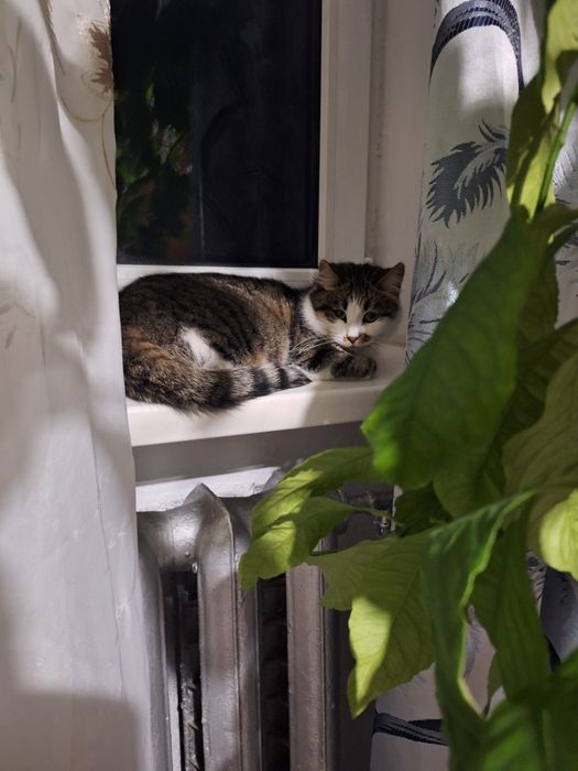 Прохання про допомогу !!!