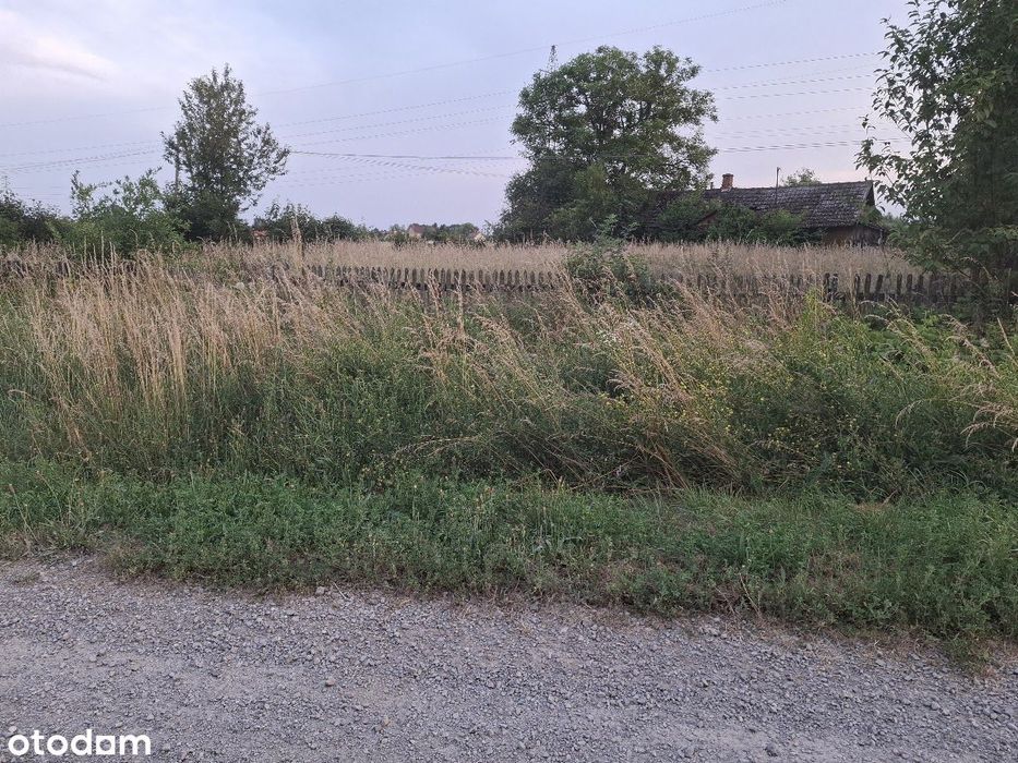 Działka rolno-budowlana 71ar Wola Mielecka