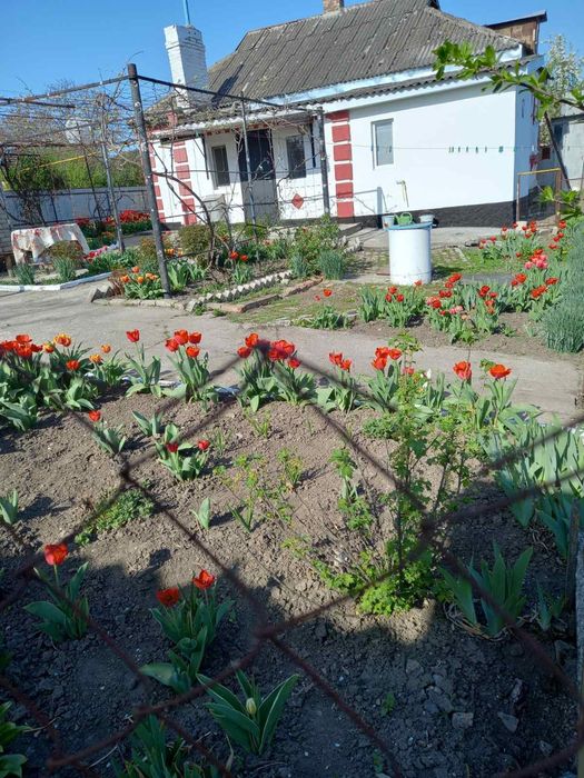 Продам будинок 15 км від Кропивницького