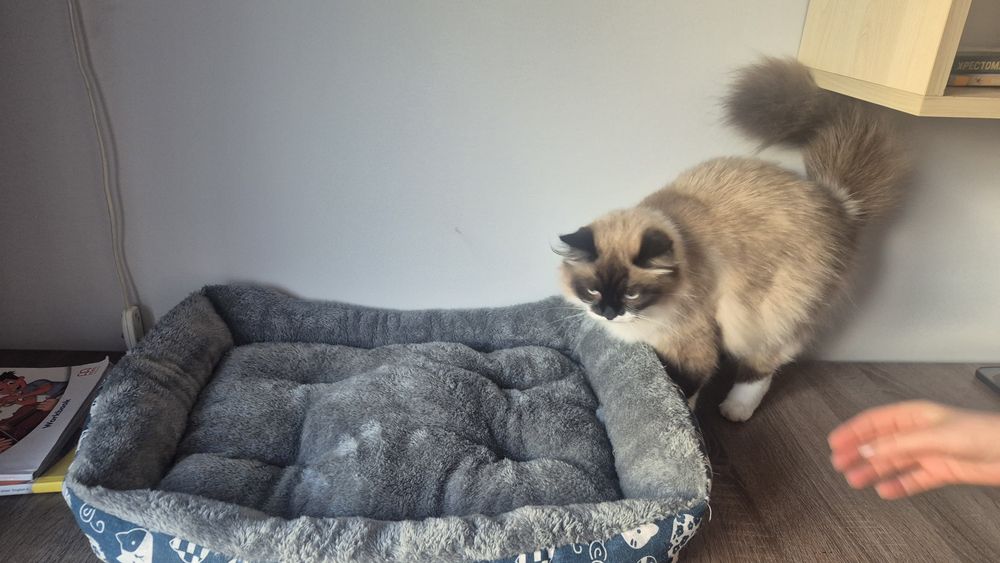 Лежанка для котов или собак. Состояние новое.