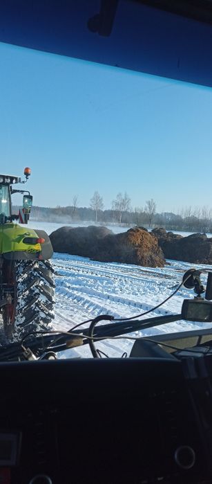 Obornik Kurzak bydlęcy transport!