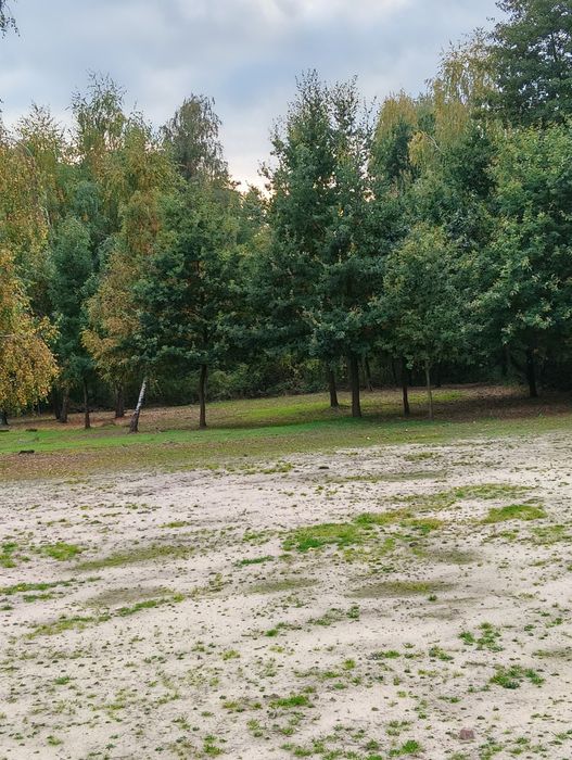 Sprzedam działki nad jeziorem