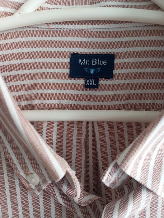 Camisa de homem Mr blue