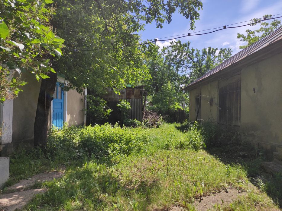 Будинок хата в с.Куражин, біля Дністра,велика земельна ділянка