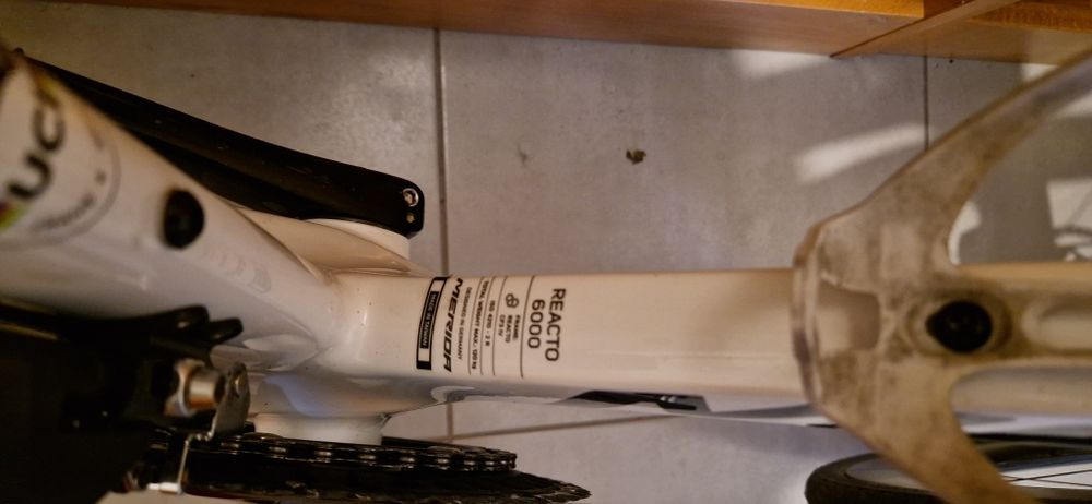 MERIDA Reacto 6000-Ano 2025 Bahrain