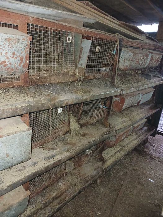 Металічні клітки,для різної,домашньої,живності.