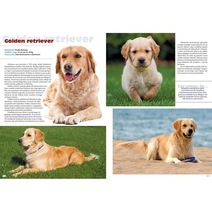 Psy Rasowe. Podręczna Encyklopedia dla Dzieci 96 stron