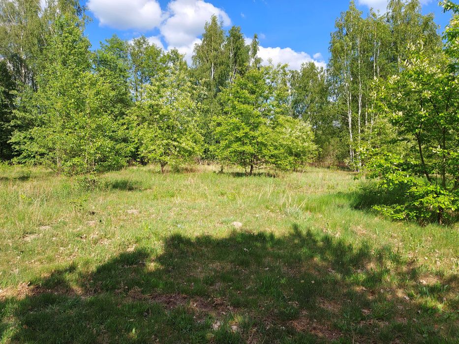 Działka budowlana 1500m2 wśród brzóz – wyjątkowy klimat i cisza! powiat. Grodzisk Mazowiecki