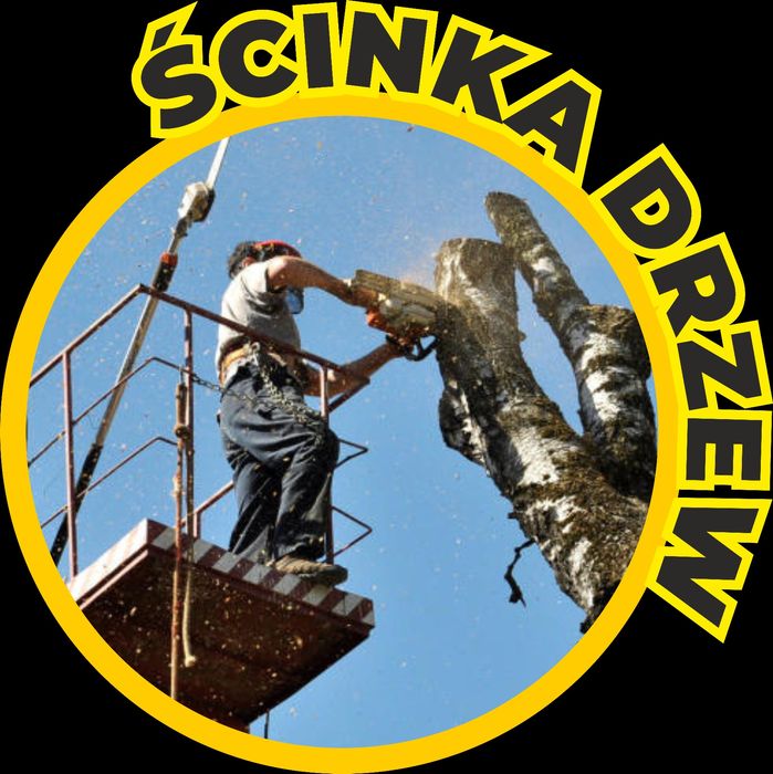 Wycinka/ ścinka drzew ,wynajem podnośnika ,malowanie elewacji,dachów