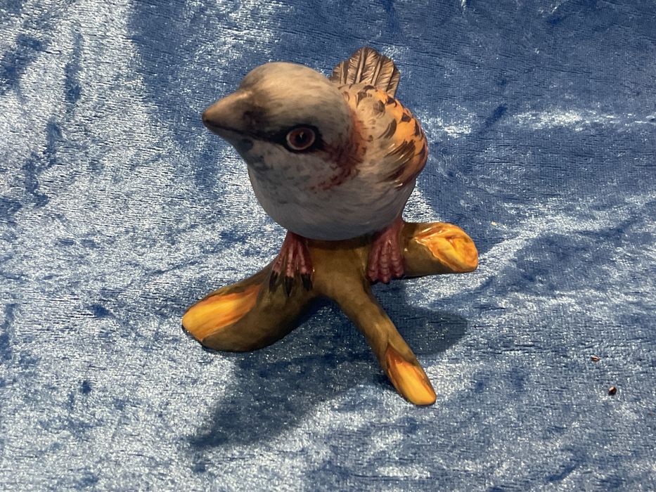 Ave vista alegre.  11 cm.   Anúncios abaixo